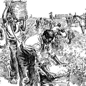 Mojito a otroci na třtinových plantážích